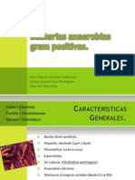 Bacterias Anaerobias Gram Positivas Clostridium