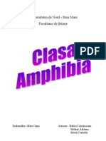 Amfibienii