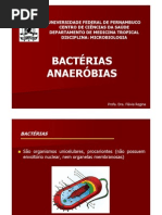 Aula Microbiologia - Bacterias Anaerobias