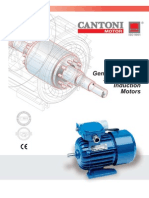 1 Phase 2010 Cantoni Motor