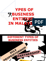 Types of Business Entities