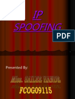 Ip Spoofing