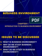 Business Environment Slides