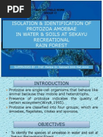 Identification of Protozoa