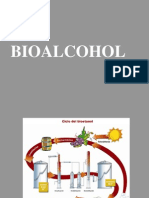 Bio Combustibles