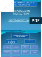 Flujograma - Del Nuevo Proceso Penal.