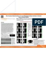 AACR 2012 - Ovarian Cancer Model and Microenvironment Differences - Dr. Rao Papineni