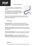 Ascaris Lumbricoides