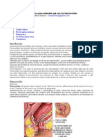 Guia Basica Entender Que Son Hemorroides