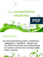 Microorganismos FINAL