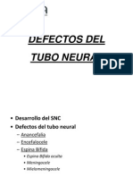 Defecto Del Tubo Neural