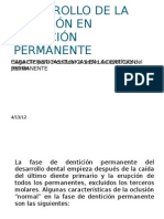 Desarrollo de La Oclusion en Denticion Permanente