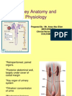 Kidney Anatomy & Physiology Modified. Anas Elian