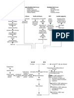 Pathophysiology of Stroke