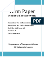 Term Paper: Mobile Ad Hoc Network