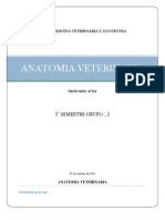 Anatomia Aviar