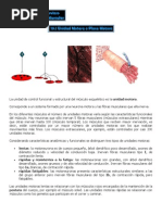 Regulacion Muscular y Formacion Reticular