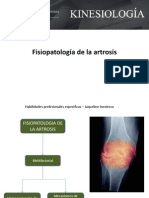 Fisiopatología de La Artrosis