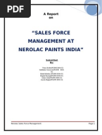 Nerolac Sales Force Management