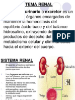 Aparato Renal