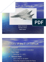 The F-14 Tomcat