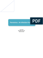 Parvovirus: An Infection Process: Sam Fanelli ENGL 202C, Sect. 014 March 16, 2012