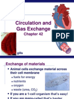 AP Biology Chapter 42 Circulatory and Respiration