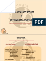 Citomegalovirus y Epstein Barr 1198640695225578 3