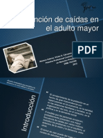 Prevención de Caídas en El Adulto Mayor