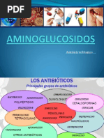 AMINOGLUCOSIDOS