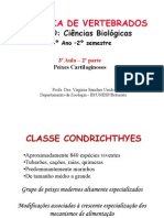 3 Peixes - Cartilaginosos Aula