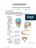 Roteiro de Esqueleto Axial