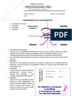 Los Componentes Del Autoconcepto