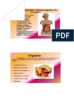 Resumo - Sistema Digestivo