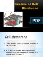 Structure of Cell Membrane: Surabhi Roll No. - 39