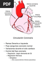 Circulación Coronaria