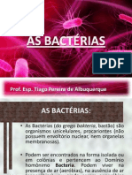 Bactérias