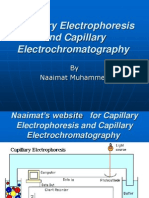 Capillary Electrophoresis and Capillary Electrochromatography