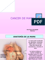 Cancer de Mamas