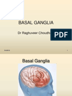 Basal Ganglia Physiological Aspects