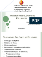 Tratamento Biológico de Efluentes