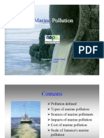 Marine Pollution