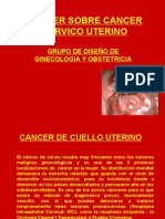 Taller de Cancer Cervico Uterino