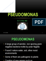 Pseudomonas Basics