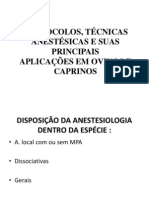 Protocolos, Técnicas Anestésicas e Suas Principais Aplicações em Ovinos e Caprinos