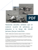 Muerte de Pelicanos