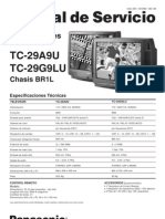 Panasonic TC 29ag9lu