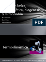 Termodinámica, Bioenergética, Biogénesis y Mitocondria