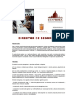 Director de Seguridad Funciones