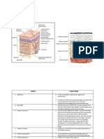 I. Epithelial Tissues